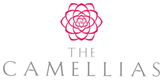 The Camellias DLF Gurgaon - Ultra Luxury Smart Residence Automation
